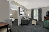 Homewood Suites by Hilton Houston Clear Lake NASA Hotels in Nassau Bay