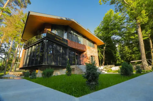 Hotel Evergreen Hôtels à : Borjomi