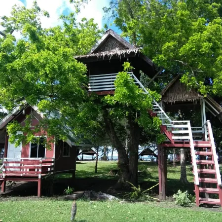 Tammoyo Place