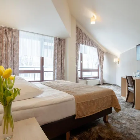 Hotel Diament Ustroń Hotels in Ustron