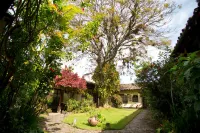 Hotel Museo Mayan Inn Hotels in 