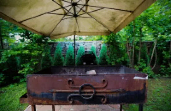 Golden Goose Guest House