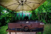 Golden Goose Guest House Hotels in Kislovodsk