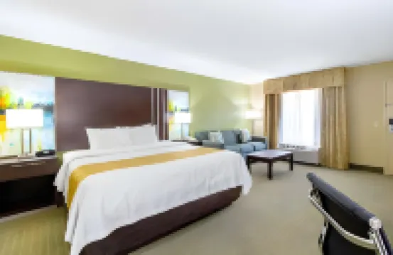 Quality Inn of Paris, TN
