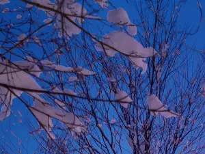 Top 10 Ski Hotels in Hakuba