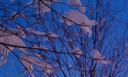 Courtyard by Marriott Hakuba