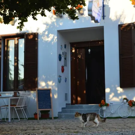 Nova Citrus Otel