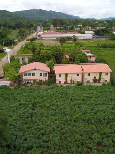 รูปภาพของรัก ณ เขาใหญ่ Rak na Khaoyai