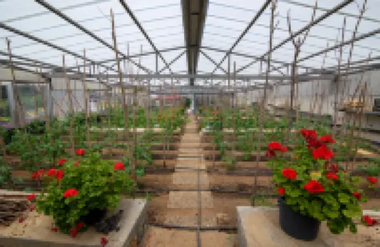 Crowne Plaza ISTANBUL - ORYAPARK by IHG Hotel di Istanbul