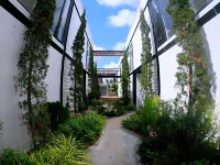 เดอะ โกลด์ ลิฟวิง ไลฟ์