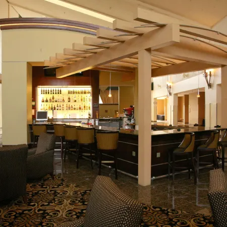DoubleTree by Hilton Hotel Dallas - Richardson