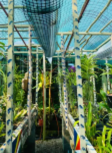 Anse Norwa Self Catering