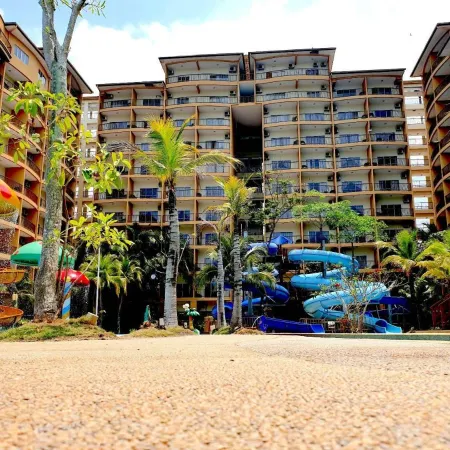 Gold Coast Morib