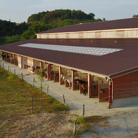 Domaine de Fraisse