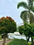 BELL Staycation