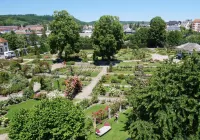 Le Jardin des Roses - Mountain view