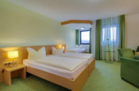 Panorama Hotel Winterberg