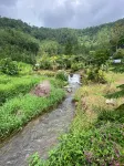 塔旺芒古杜鵑花豪華露營 - 民宿