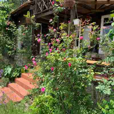 Romantic House on a Pine Hill Dalat Hotel Exterior