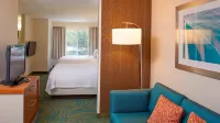 SpringHill Suites Atlanta Six Flags Hotel di Lithia Springs