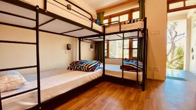 Madpackers Manali Hotels near Beas Bihal Nature Park