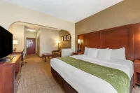 Comfort Suites Hotels in Douglas County