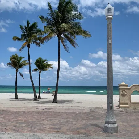 Hollywood Beach Flamingo