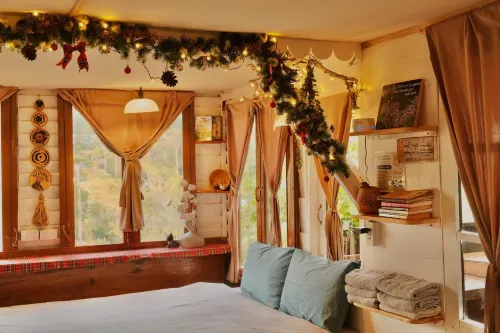 Cú Trên Cây Homestay