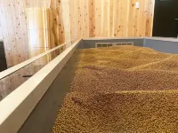 Sandbox