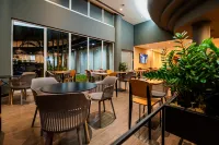 Ibis Santo Andre