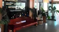 SR Hotel - bars