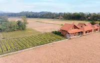 Bhumi Kasuryan Borobudur