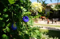 Thakhek Travel Lodge - 2 Sao