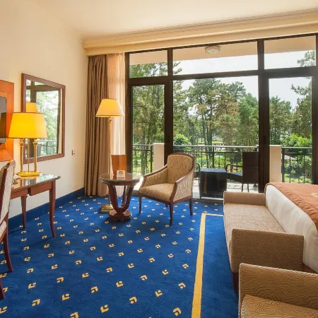Kobuleti Georgia Palace Hotel & Spa