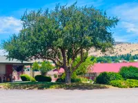 Golden West Motel - Pet friendly