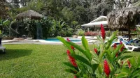 Villas del Caribe - Beach