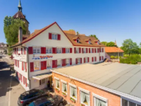 Hotel Rotes Kreuz Hotels in Arbon