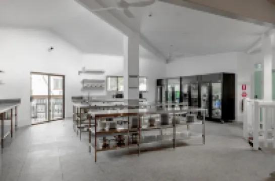 拜倫灣甦醒旅館 拜倫灣住宿飯店