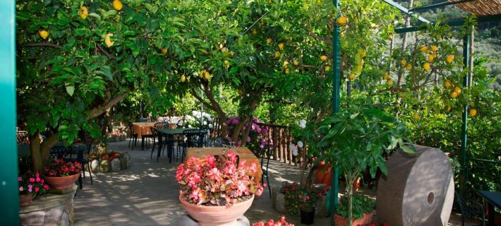 Agriturismo la Lobra Отели в г. Масса-Лубренсе