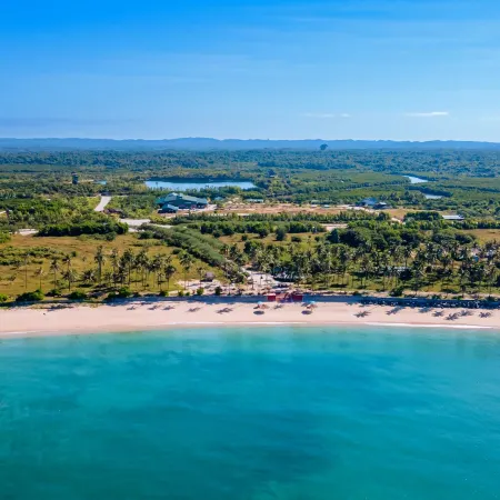 Mangrove View Resort