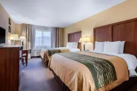 컴포트 인 & 스위트 보셀 - 시애틀 노스 Leviton Network Solutions 주변 호텔