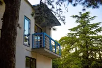 Green Land Hotel Hotels in 