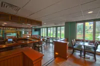 Holiday Inn Club Vacations MOUNT ASCUTNEY RESORT by IHG - bar