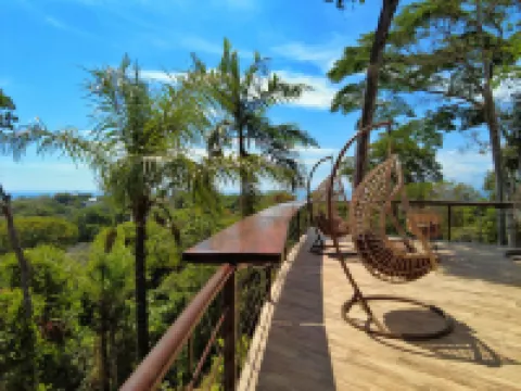 Mountain Top Park Hotel Hotels in 