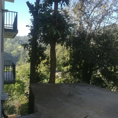 Viewfront Ella
