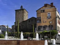 Ibis Roanne
