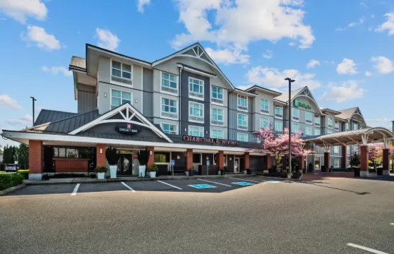 Holiday Inn & Suites 薩里東 - 克洛弗代爾