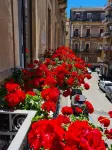 Ferrini Home - Rindone 6 - Apartments
