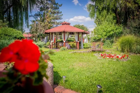 Hotel Senator Отели в г. Dumbravita