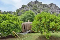 Simge Pension Hotels near Cirali Beach